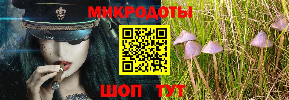 Псилоцибиновые грибы MAGIC MUSHROOMS  Вход с VPN  Магнитогорск 